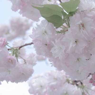 Furry数位绘画实用技巧Furry群